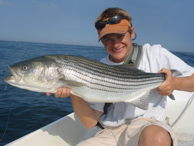 Maine Striped Bass Fishing: Maine Fishing Charter For Stripers